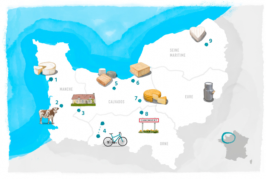 Carte des bonnes adresses pour le fromage - illustration Stefane Buvot pour La crème de la crème