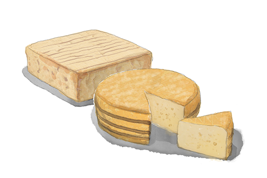 Les fromages normands - illustration Stefane Buvot pour La crème de la crème